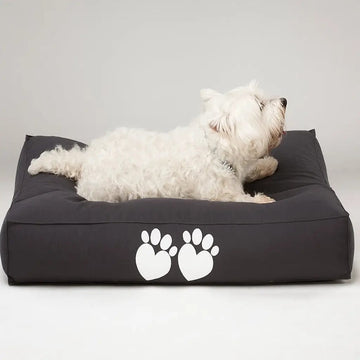 White dog lying on a black pet bed with paw prints on a gray background